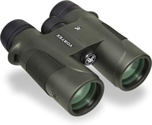 best binoculars under $300