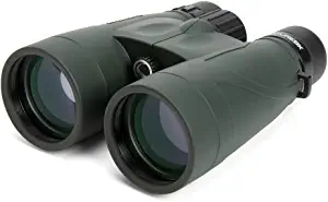 Best Budget Binoculars for Wildlife Viewing