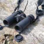 Best Budget Binoculars for Wildlife Viewing