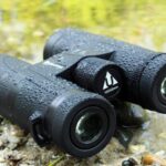 best 10x42 binoculars for hunting