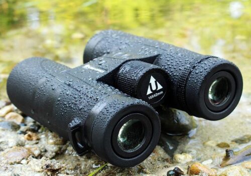 best 10x42 binoculars for hunting