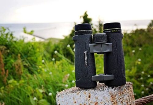 best birding binoculars under $200