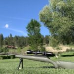 best vortex scope for varmint hunting