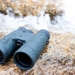 best binoculars for Alaska cruise