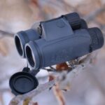 best high end binoculars for hunting