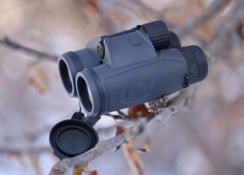 best high end binoculars for hunting