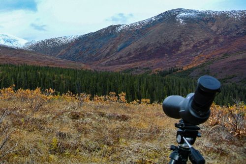 best spotting scope for Alaska hunting