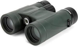 Best 10x32 Binoculars