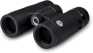 Best 10x32 Binoculars for Birding