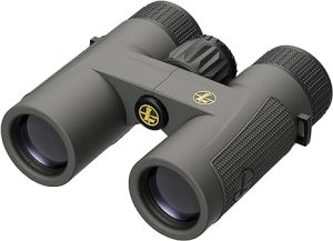 Leupold BX-4 Pro Guide HD Binoculars