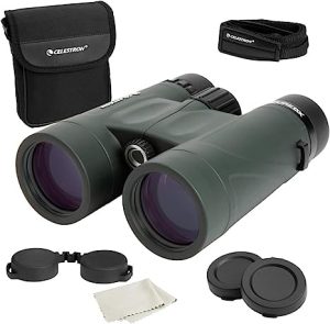 Best Binoculars for Bird Watching Beginners