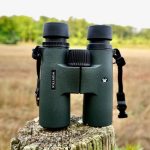 best binoculars under $100