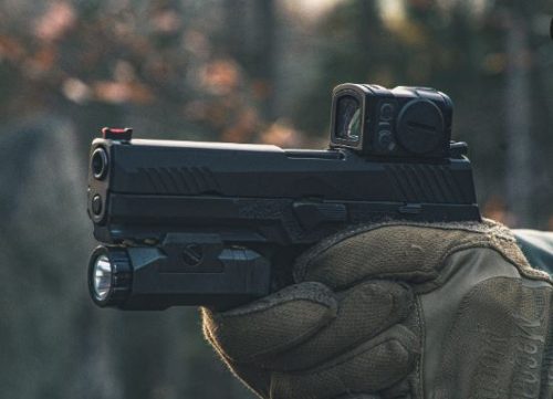 best red dot for Walther Q5 Match