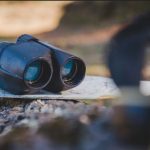 Best Binoculars for Long Distance Viewing