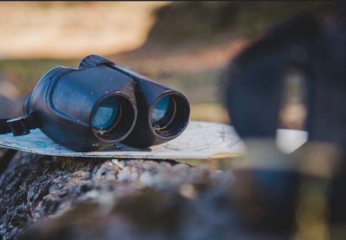 Best Binoculars for Long Distance Viewing