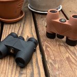 Best Binoculars for Backyard Bird Watching