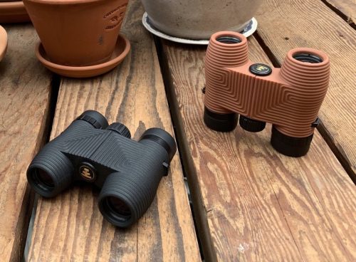 Best Binoculars for Backyard Bird Watching