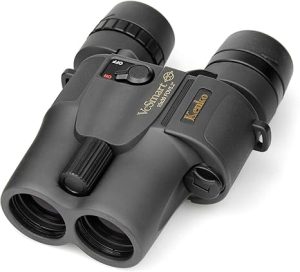 Best Image Stabilized Binoculars