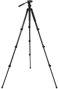 Celestron Regal Tripod