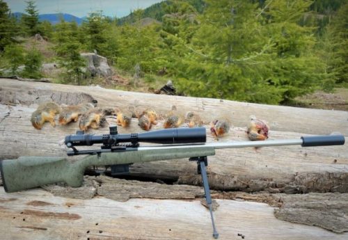 Best Varmint Scope for 22-250