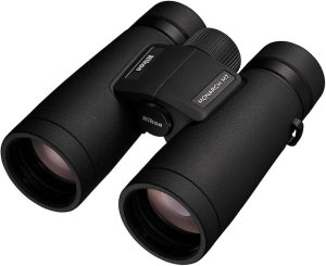 Best 10x42 Binoculars for Bird Watching