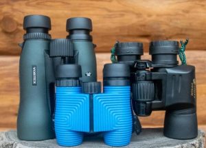 best binoculars for seniors