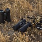 best lightweight binoculars for seniors
