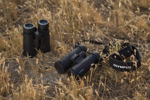 best lightweight binoculars for seniors