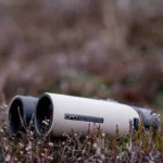 Best 8x32 Binoculars for Birding
