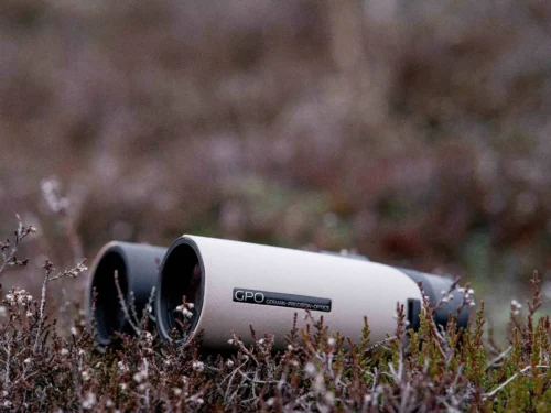 Best 8x32 Binoculars for Birding