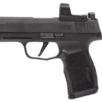best red dot sight for Sig P365 XL