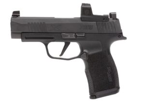 best red dot sight for Sig P365 XL