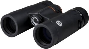 Best 8x32 Binoculars