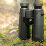 Best 8x32 Binoculars