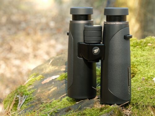Best 8x32 Binoculars