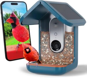 best bird feeder with camera