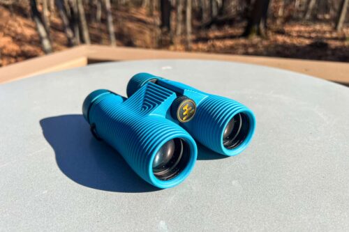 best budget binoculars