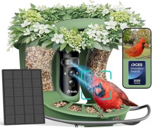 Birdfy Smart Bird Feeder