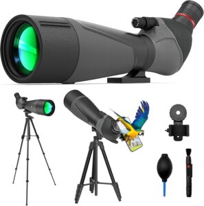 best budget spotting scopes
