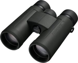 best budget binoculars