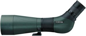 best spotting scopes for birding