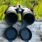 best 8x42 ED binoculars