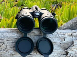 best 8x42 ED binoculars