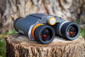Best 10x42 ED Binoculars