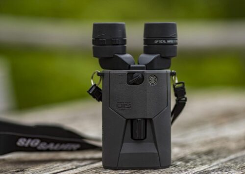 Best Image Stabilized Binoculars for Astronomy