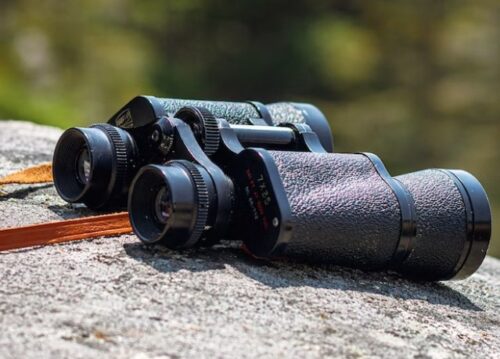 Best Budget Binoculars for Stargazing