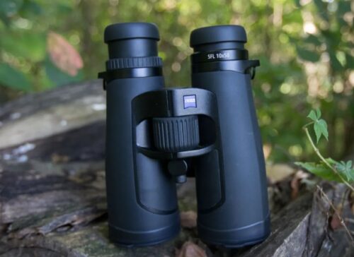 best binoculars for bird watching in the garden