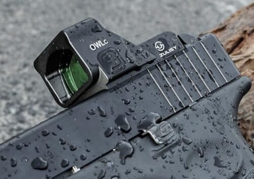 best red dot sight for Desert Warrior TFS